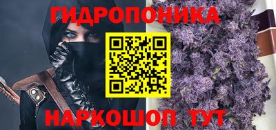 mdpv Гатчина