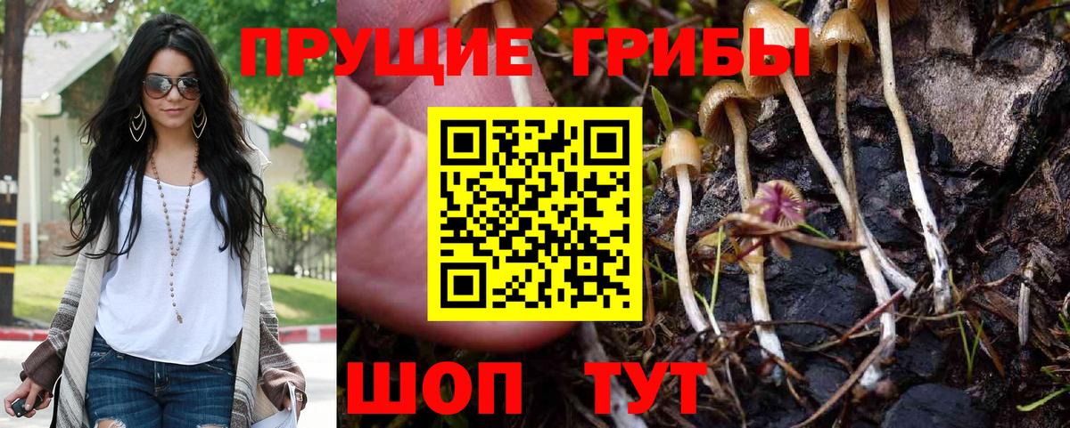 Галлюциногенные грибы Magic Shrooms Гуково